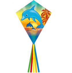 Šarkan Invento, Eddy Dolphin Sunset R2F, jednolanový