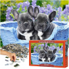 CASTORLAND Puzzle 1000 French Bulldog Puppies 104246-2