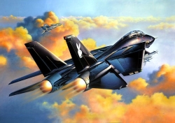 Plastikový model na lepenie Revell Grumman F-14A Black Tomcat 04514