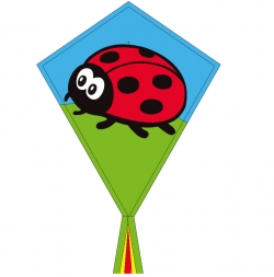 Šarkan Invento, Eddy Ladybug R2F, jednolanový