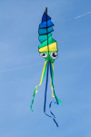 Šarkan Invento, Flapping Ollie Octopus, jednolanový drak