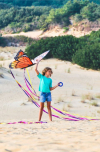 Šarkan Invento, Butterfly Kite Monarch 
