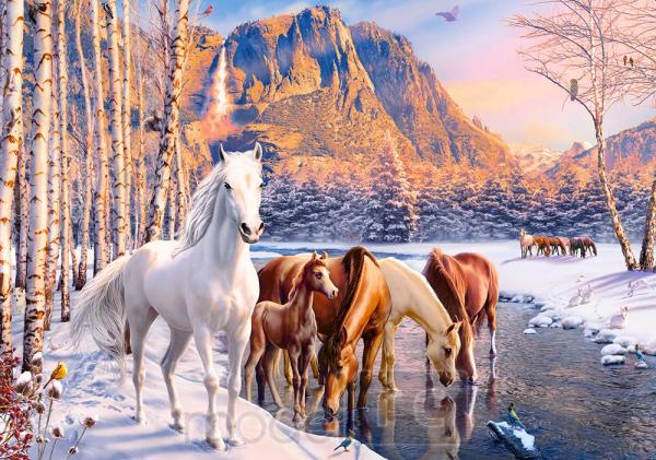 Puzzle Winter Melt 500 CASTORLAND Puzzle 53704
