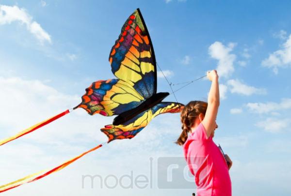 Šarkan Invento, Butterfly Kite Swallowtail 